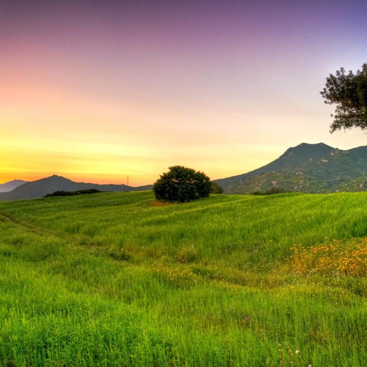 Lorem ipsum dolor sit amet